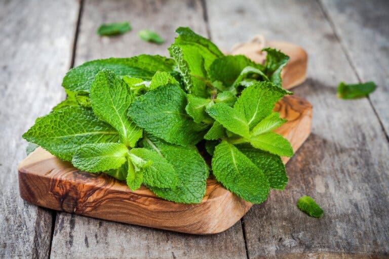 Cómo usar la menta en la cocina
