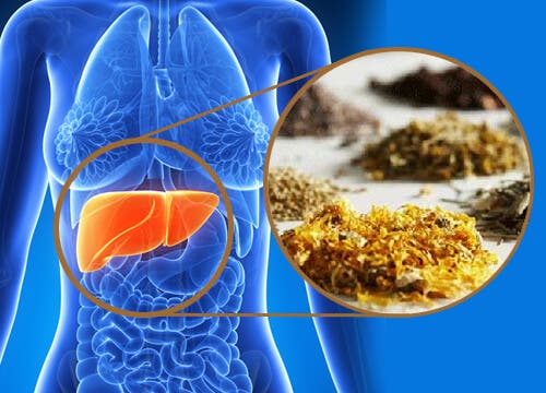 Hierbas medicinales para limpiar el hígado