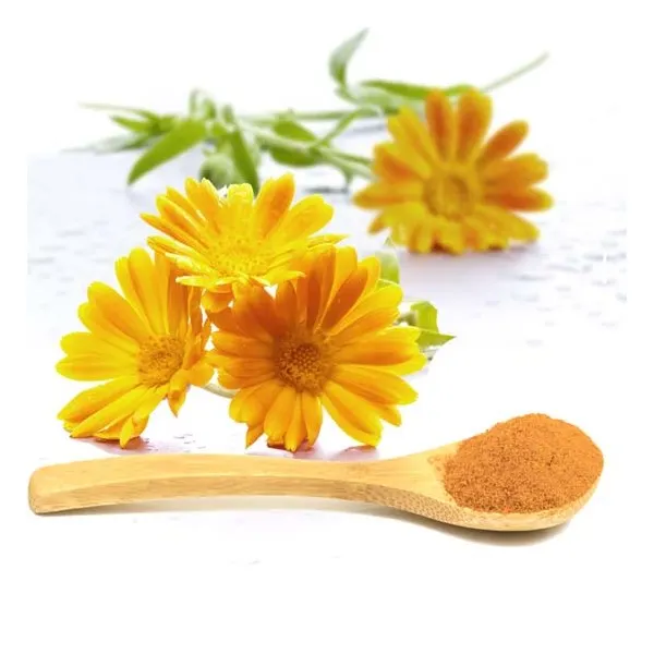 calendula-en-polvo