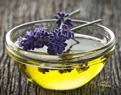 lavanda 3