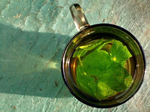 Té de menta para los riñones