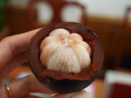 mangostan Titti Nguyen Ho