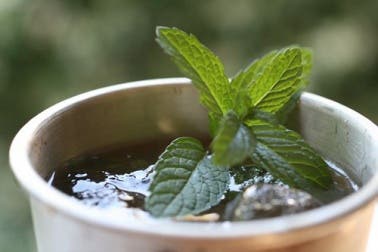12 usos curativos de la menta
