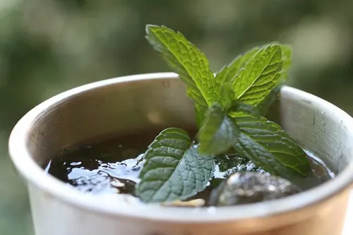 Mejores infusiones para la piel: menta