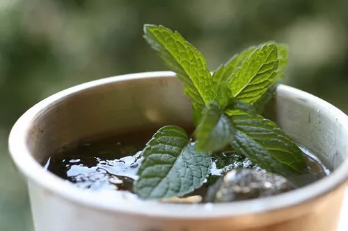 Usos curativos de la menta