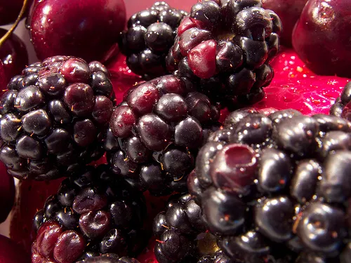 Moras.