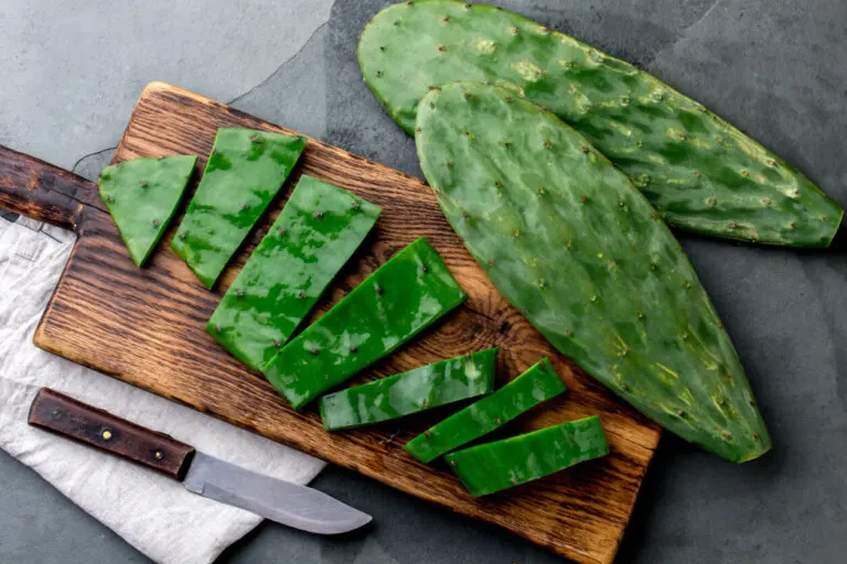 Propiedades curativas del nopal