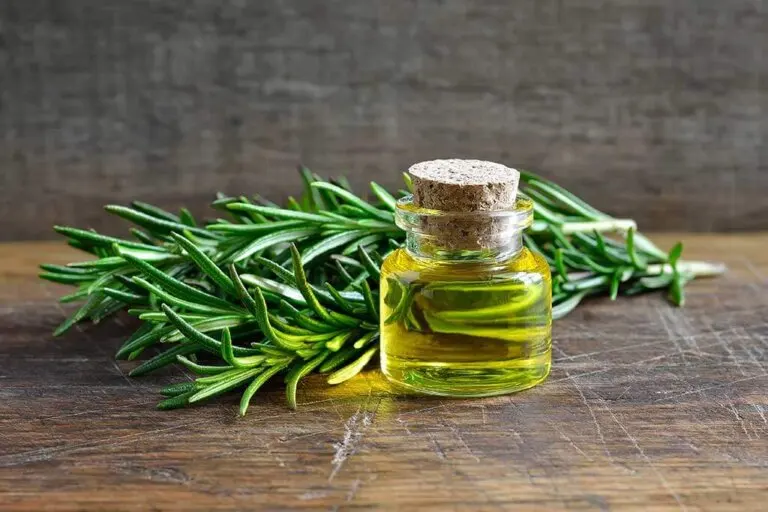 9 relajantes musculares naturales