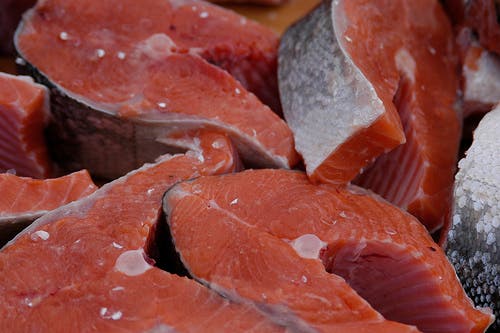 salmon Andrea Pokrzywinski