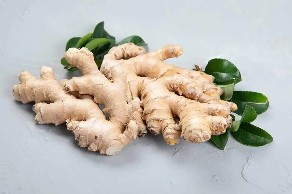 Gripe estomacal tratada com água de gengibre