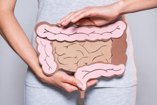 limpiar intestino