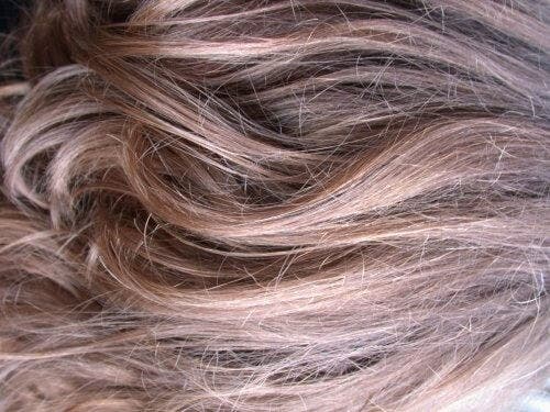 Mascarillas naturales para el cabello opaco