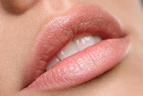Los mejores remedios naturales para los labios secos