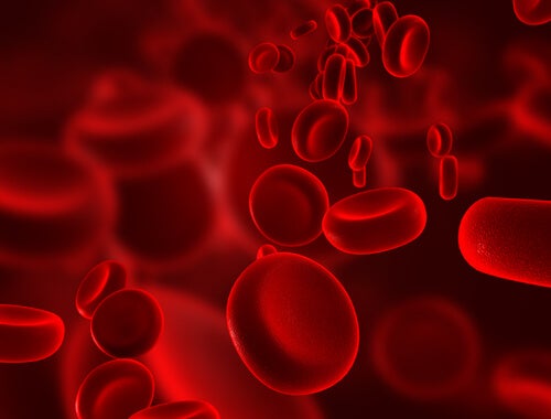 7 remedios caseros para fortalecer los vasos sanguíneos