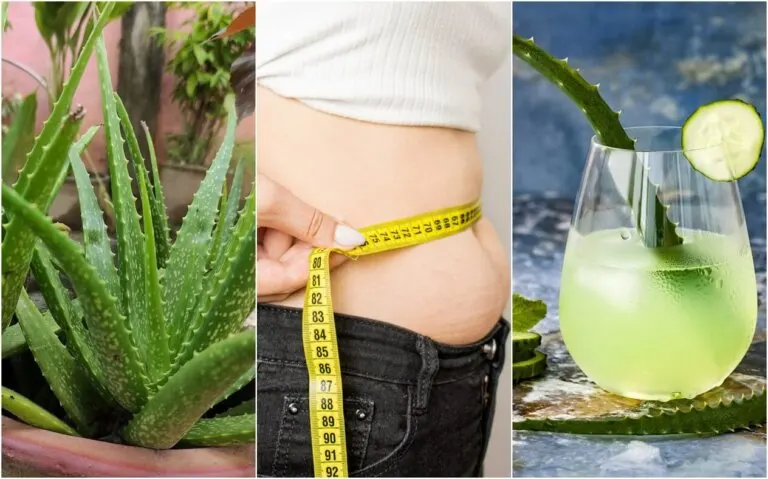 ¿Cómo adelgazar con aloe vera?