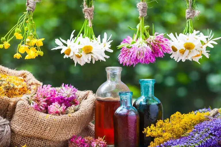 Los beneficios de la aromaterapia
