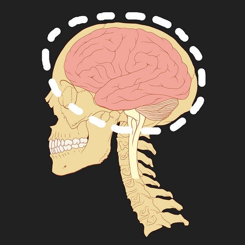¿Qué es un hematoma subdural?¿Por qué se produce?