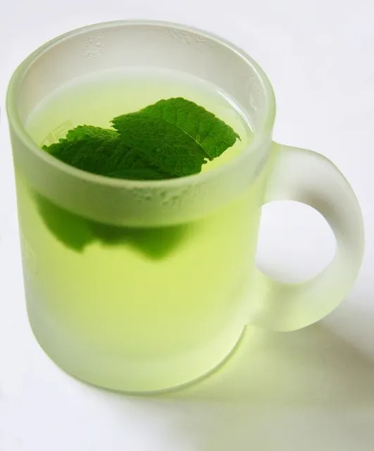 infusion-menta-lechuga