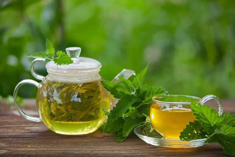 Infusiones para aliviar el colon irritable de manera natural