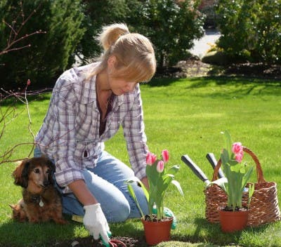 Aprovecha las vacaciones en casa para decorar el jardín