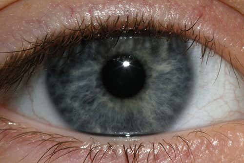 ¿Qué nos dice el color de ojos azul?