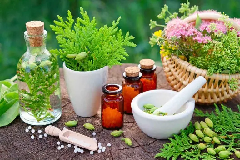 Las 8 mejores plantas medicinales para el corazón