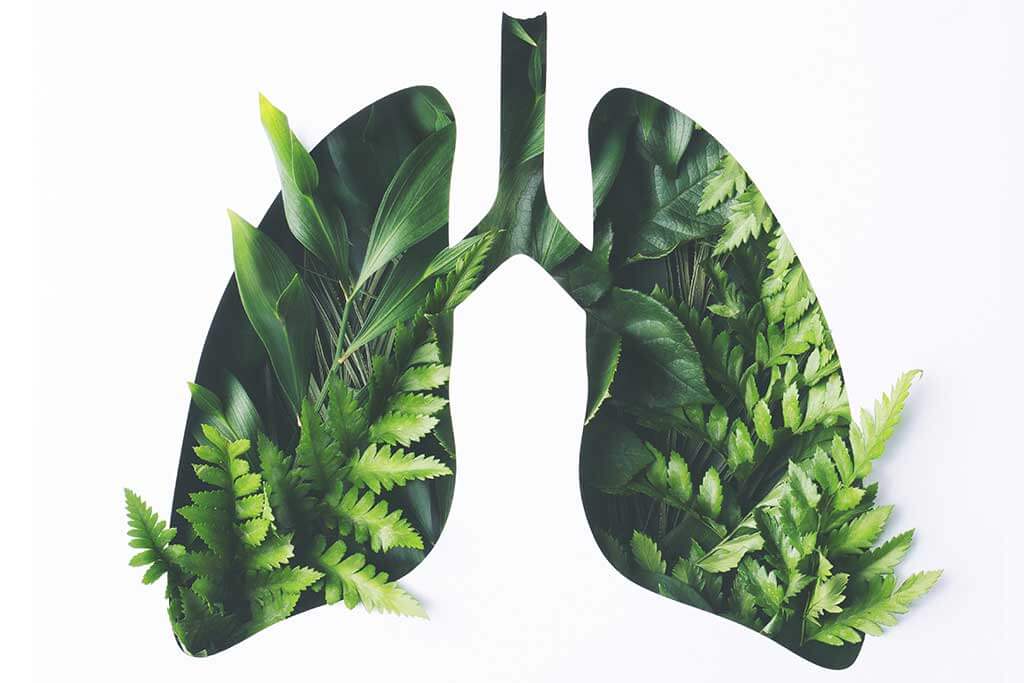 Alimentos que benefician tus pulmones