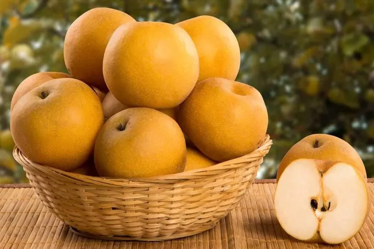 Recetas deliciosas con pera