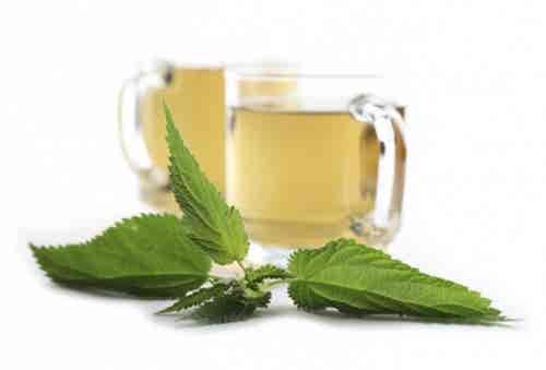 El té de ortigas es ideal para la prevención de cálculos biliares.