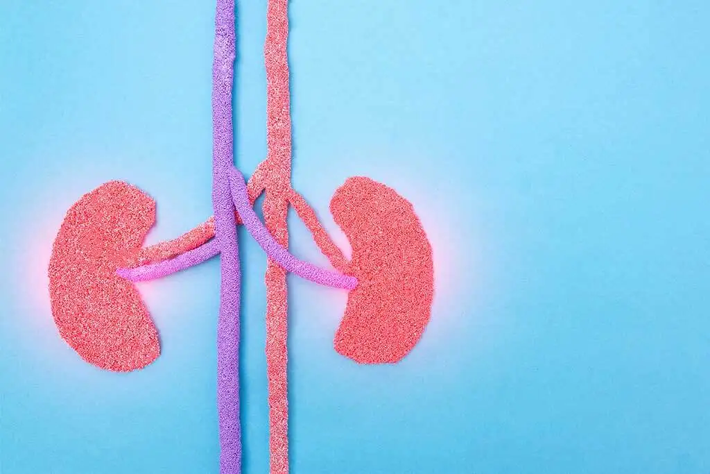The renal function.