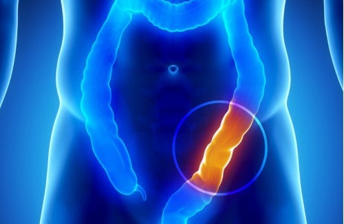 8 cosas que necesitas saber de tu colon