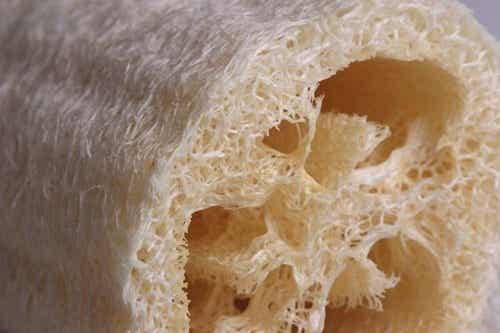 Cómo hacer una esponja exfoliante natural