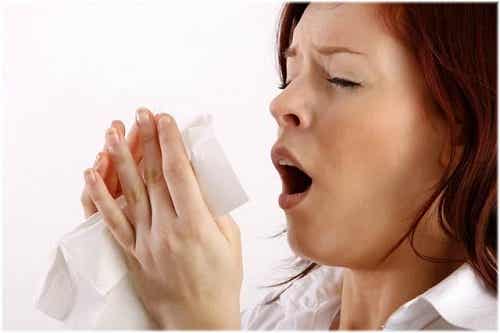 Claves para personas con alergia al polvo
