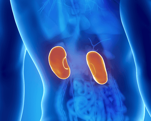 Los 8 síntomas más comunes de una enfermedad renal