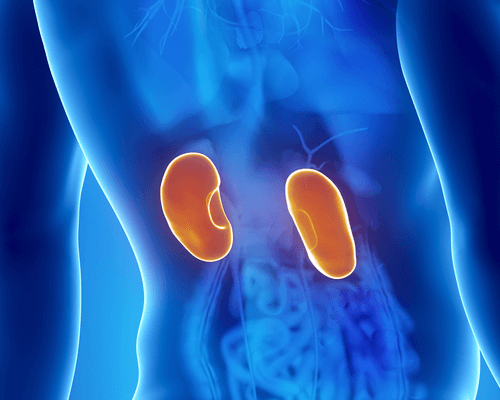 Los 8 síntomas más comunes de una enfermedad renal