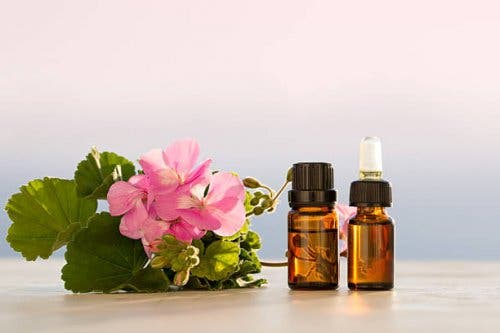 Aceite esencial de geranio para nuestro tónico facial