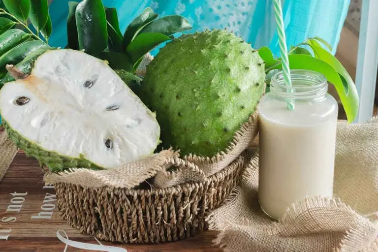 Cuida tu sistema digestivo con agua de guanábana (graviola)