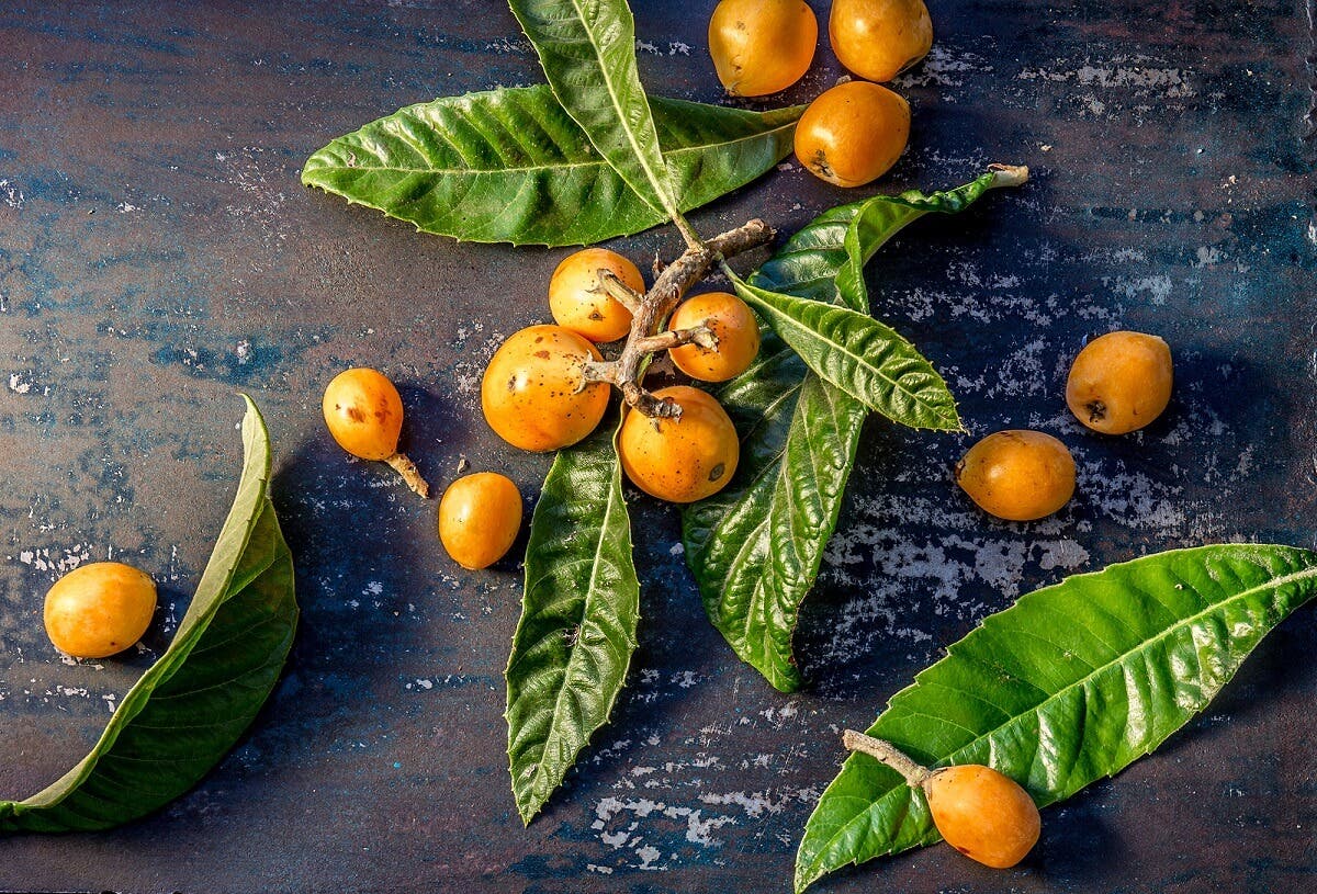 Propiedades nutricionales de los nísperos