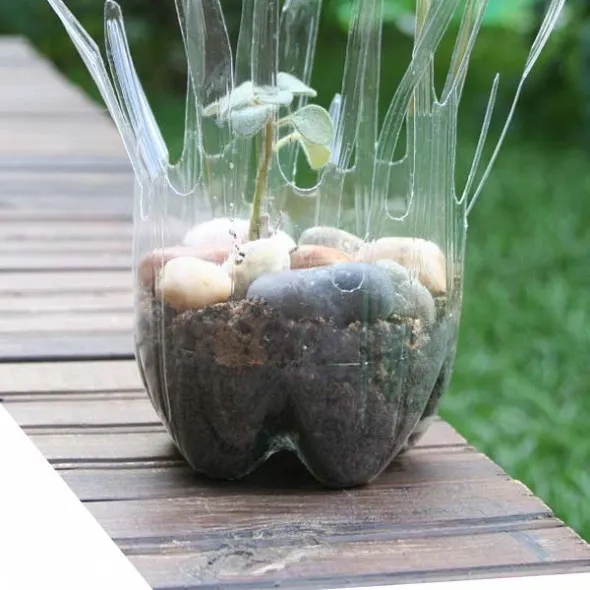 Reutilizar botellas de plástico: macetas