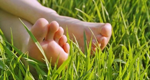 eine Fußmassage - Füße im Gras