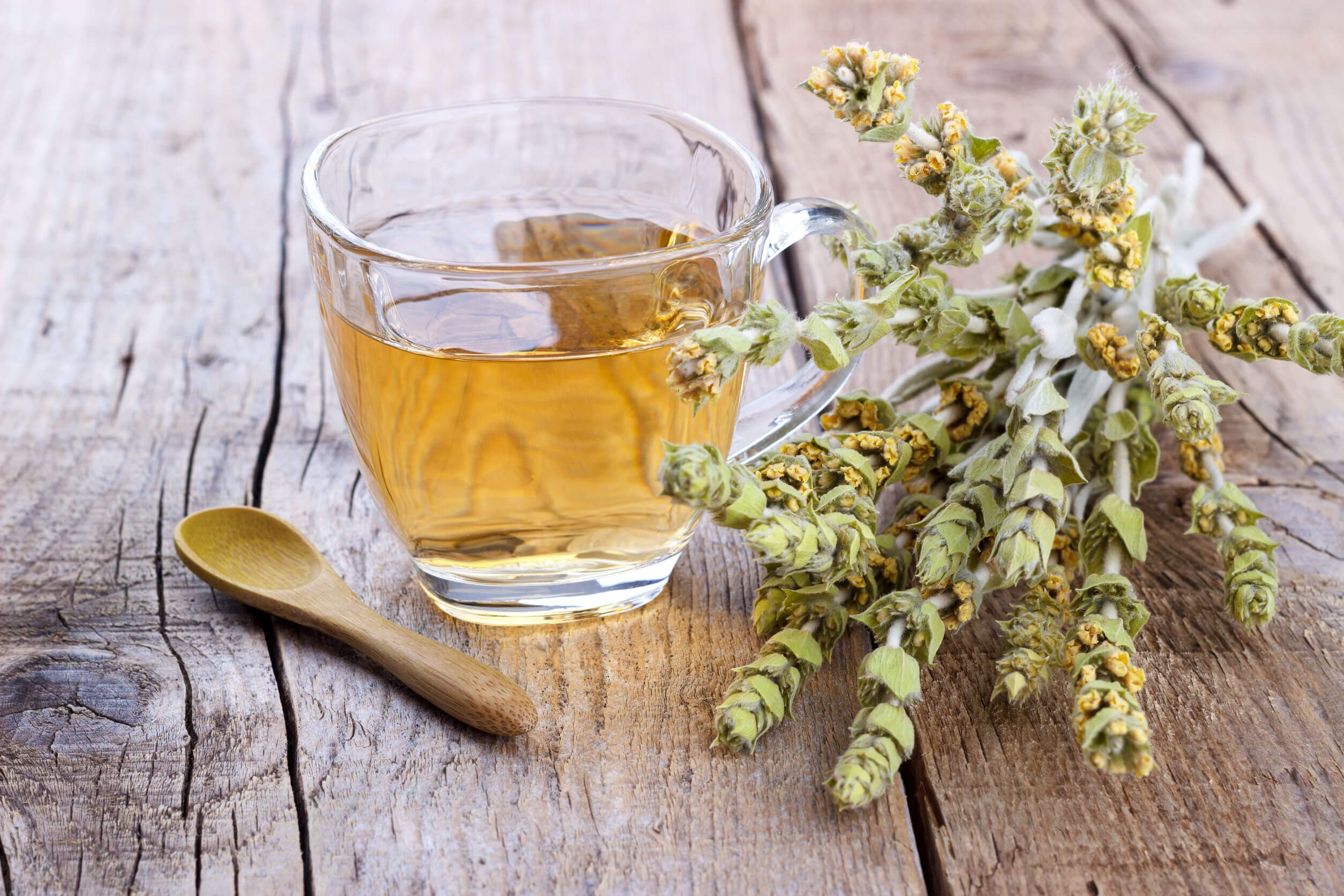 Existen diversas bebidas para evitar comer compulsivamente.