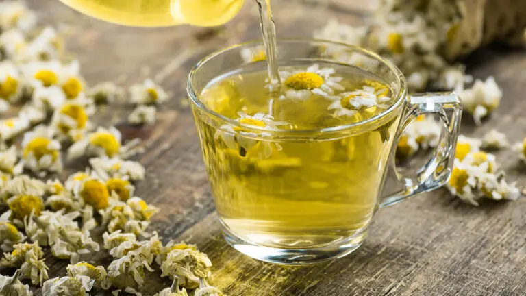 14 hierbas medicinales para ayudar a tratar el asma