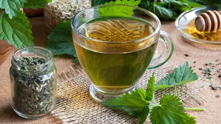 11 hierbas medicinales para ayudar a tratar la anemia