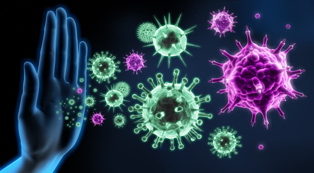 vitamina D, receptores en el sistema inmune