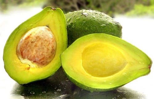 Aguacate