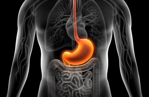 Cómo bajar de peso si se sufre de gastritis