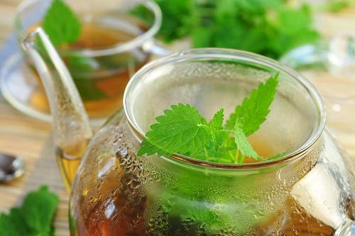 infusión de menta