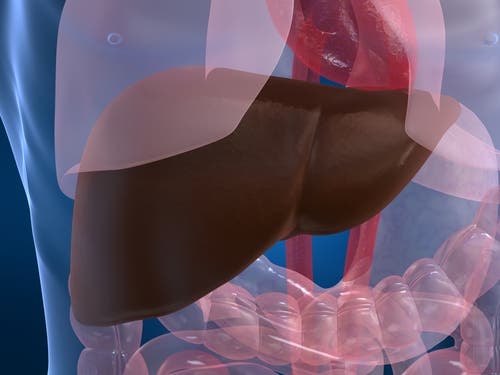 Problemas hepaticos