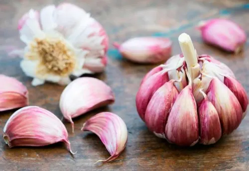 Knoblauchzehen für die Fingernägel