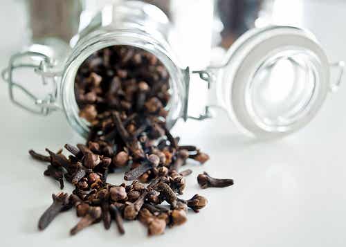 clavo de olor En busca del sol